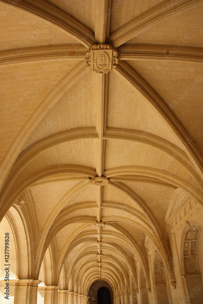 Voûtes en croisée d'ogives à l'Abbaye de Fontevraud, France Voûtes en croisée d'ogives à l'Abbaye de Fontevraud, France