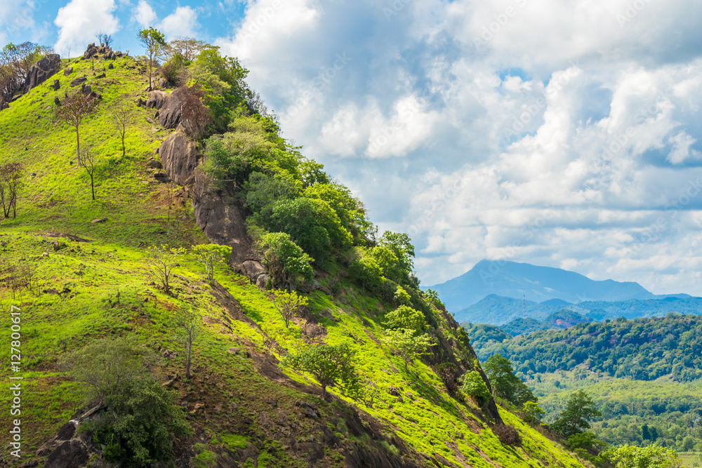 Naklejka premium Sri Lanka Countryside