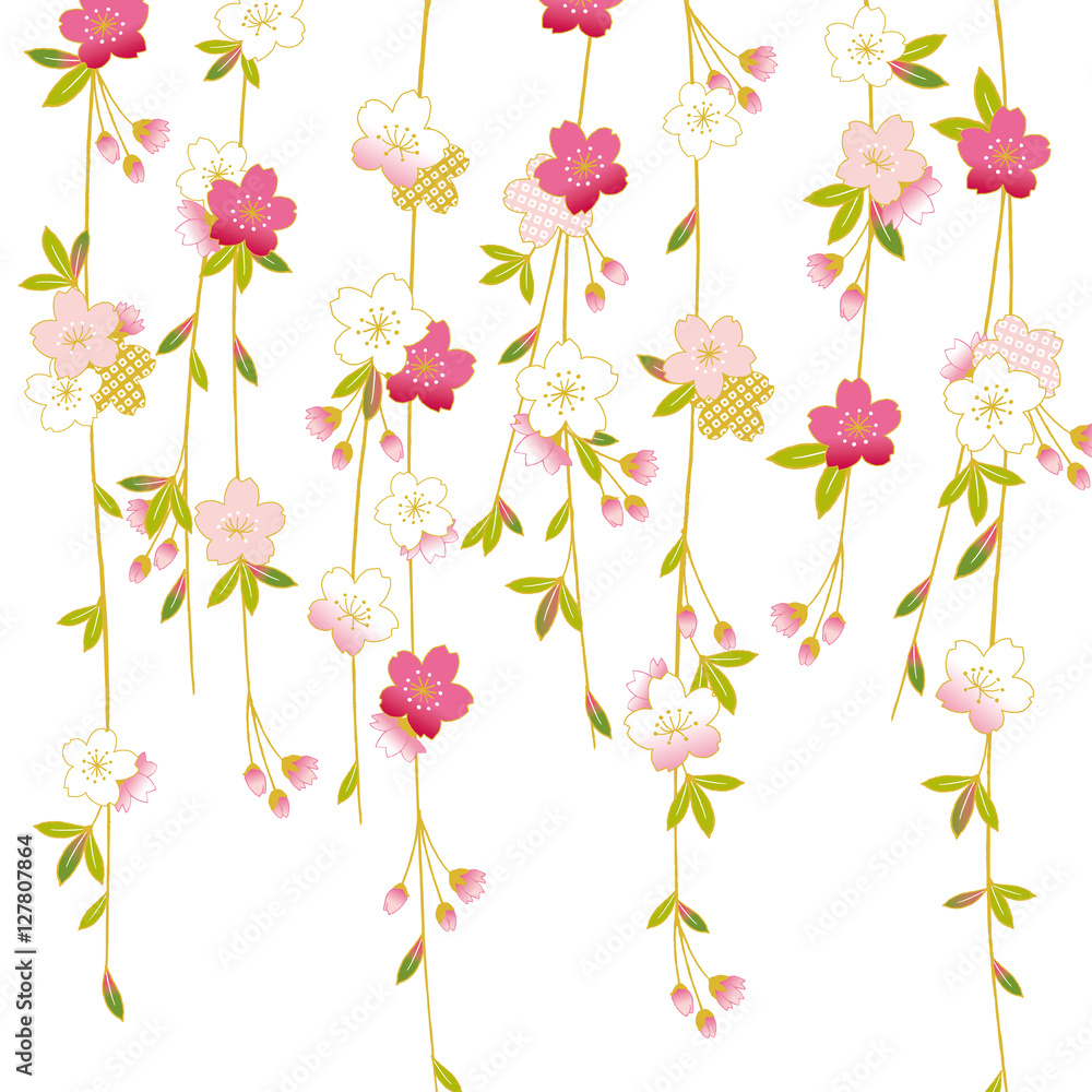 Fototapeta premium しだれ桜 イラスト