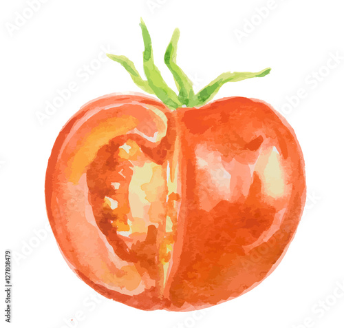 Isolated watercolor tomatoes on white background. Healthy and ripe fresh vegetable for cooking and decoration.