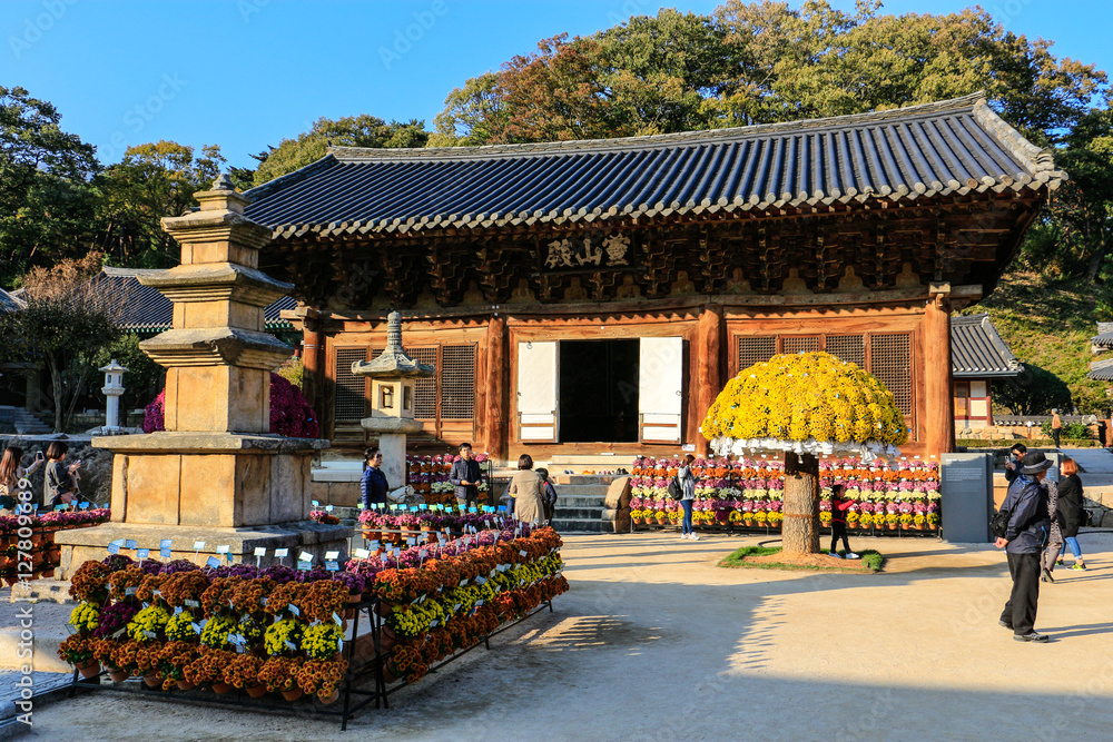 Obraz premium Tongdosa Temple