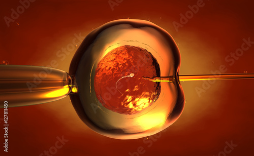 Artificial insemination or in-vitro fertilization of an egg cell,ovum or zygote photo