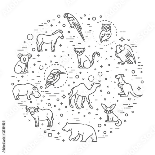 vector icons. Zoo. Animals