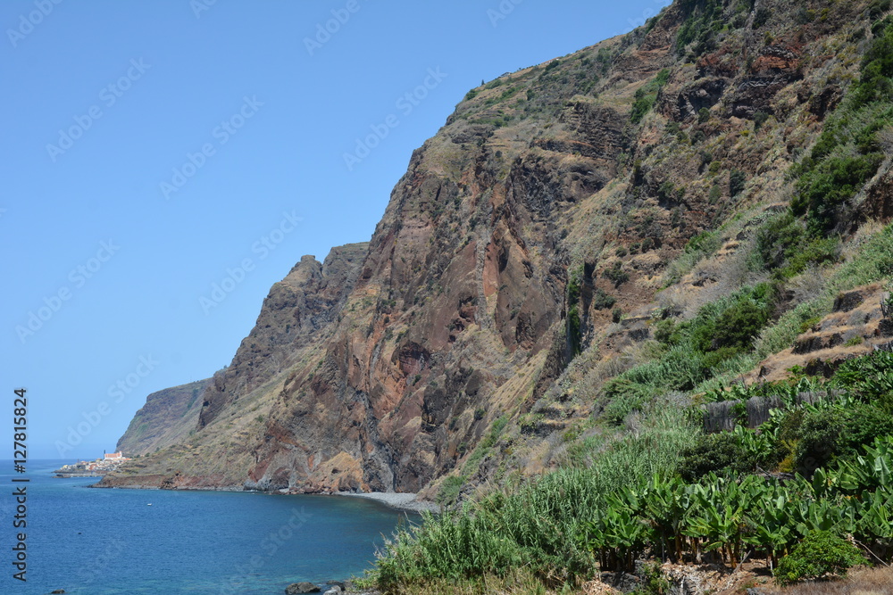Fototapeta premium Cliff, MADEIRA.