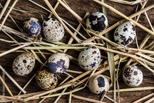 Quial eggs on wood table, top view photo