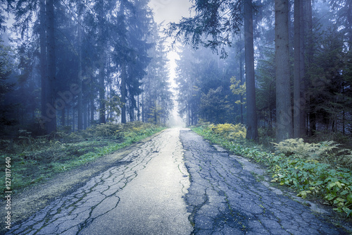 Beautiful blue foggy straight cracked asphalt forest road.