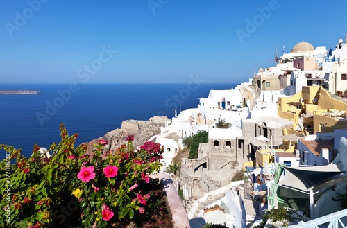 Greece. Village of Oia on Santorini Island. Scenic view on the blue sea and Cycladic houses with hibiscus flowers
