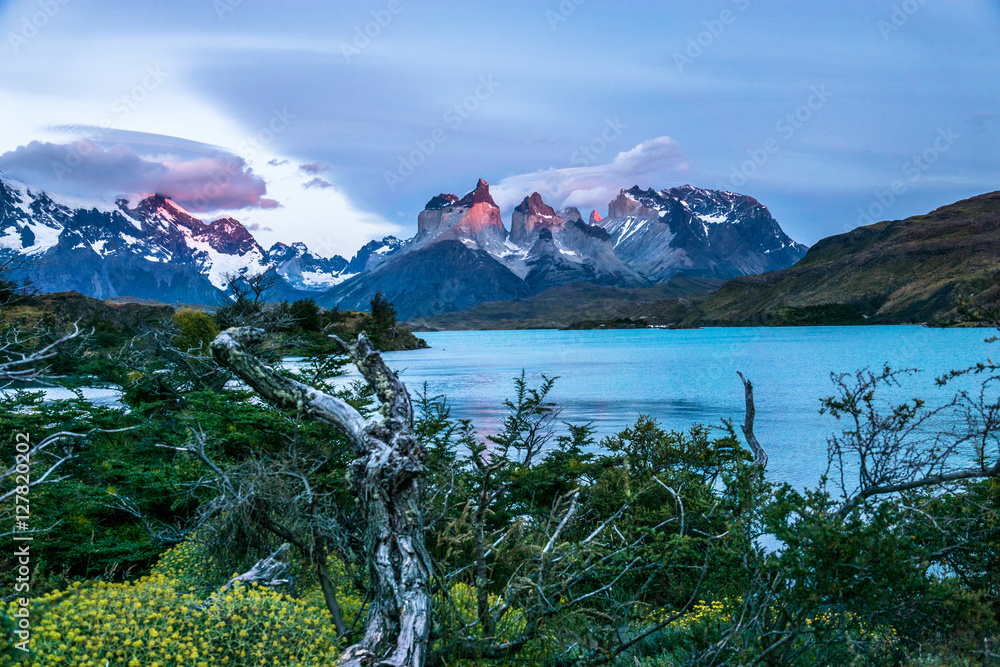 Sonnenaufgangsstimmung im Torres del Paine Nationalpark