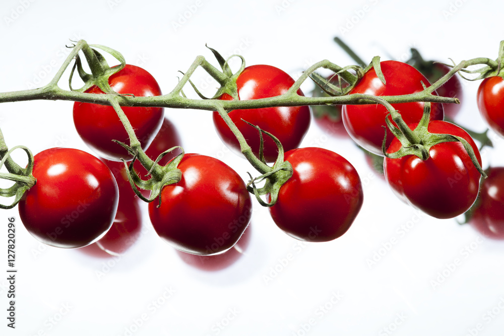 Tomatoes with white background