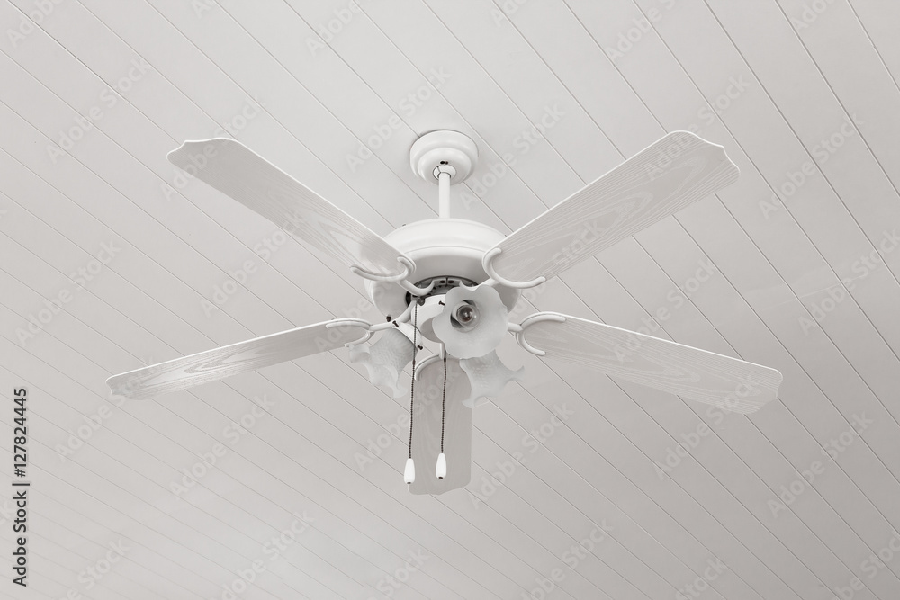 White ceiling fan light White ceiling fan light