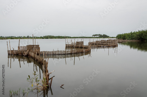 Foto Traditional reed fishing traps used in wetlands near the coast in Benin