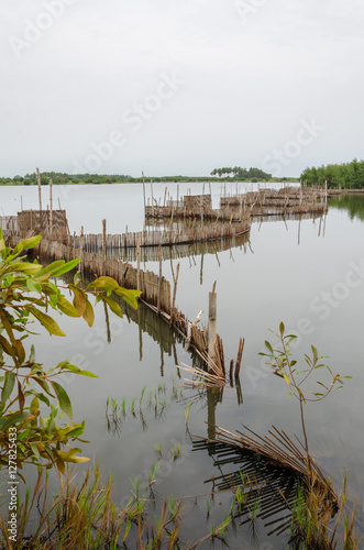 Tableau sur toile Traditional reed fishing traps used in wetlands near the coast in Benin