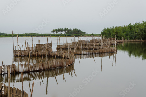 Tableau sur toile Traditional reed fishing traps used in wetlands near the coast in Benin