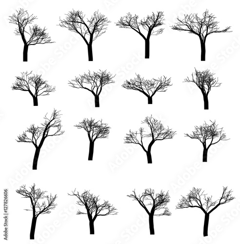 Winter tree set. Dry tree with fallen leaves. Dead tree silhouette. Vector illustration