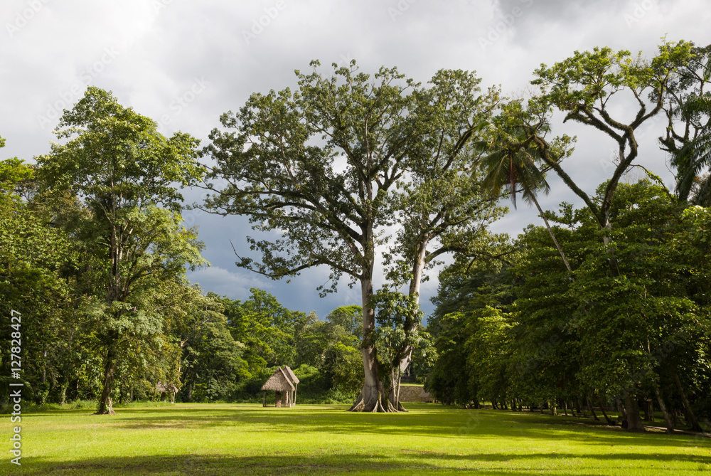 Quirigua Mayan archaeological Site on Guatemala