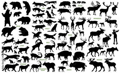 Big mammals of the northern lands vector silhouettes collection photo