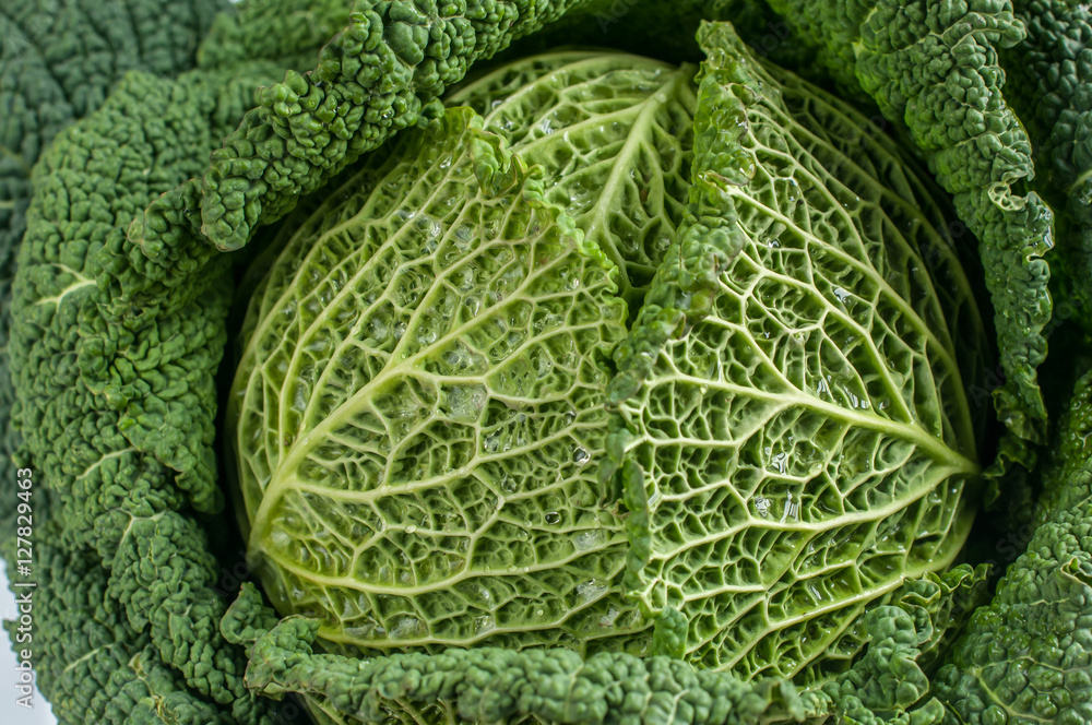 Fototapeta premium Kale