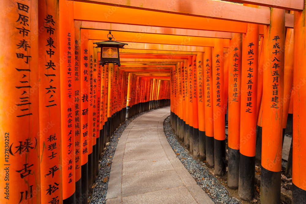Thousands of torii gates at Fushimi Inari Shrine in Kyoto, Japan Thousands of torii gates at Fushimi Inari Shrine in Kyoto, Japan