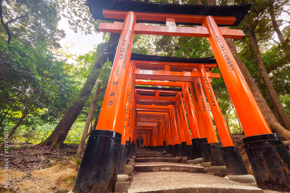 Thousands of torii gates at Fushimi Inari Shrine in Kyoto, Japan Thousands of torii gates at Fushimi Inari Shrine in Kyoto, Japan