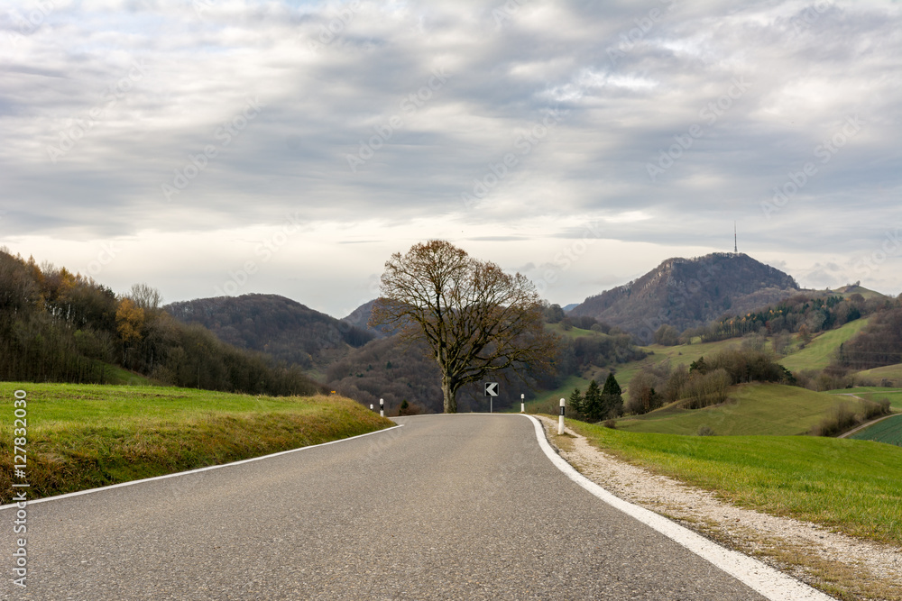 Strasse in der Natur Autofahren