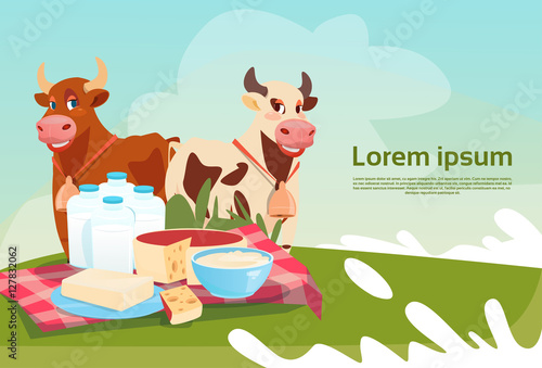 Cows Fresh Milk Dairy Products Eco Farming Banner Flat Vector Illustration