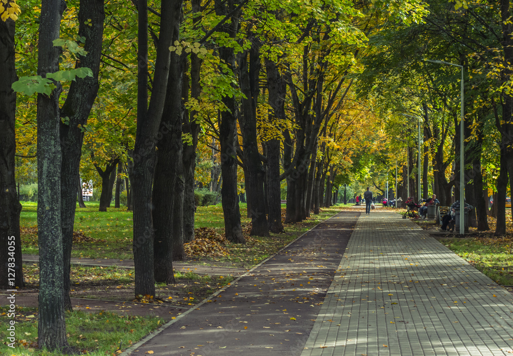 Москва. Бульвары осенью