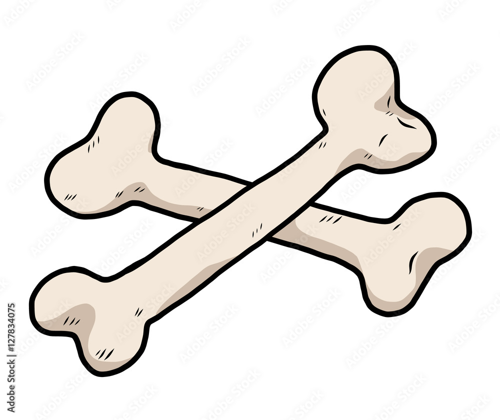 two bone / cartoon vector and illustration, hand drawn style, isolated on white background. two bone / cartoon vector and illustration, hand drawn style, isolated on white background.