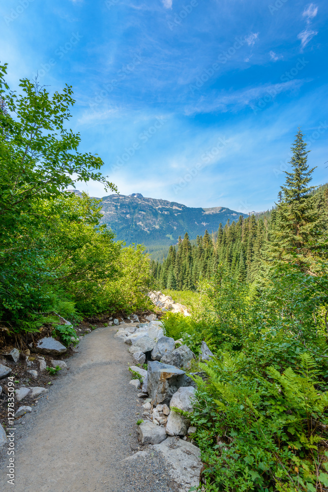 Obraz premium Beautiful Mountain Trail View at Joffre Lakes, British Columbia, Canada.