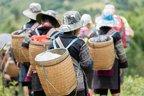 SAPA - SEP 21 :  Vietnamese Hmong  are go back from working on september 21, 2016 at sapa district,northwest of Vietnam.