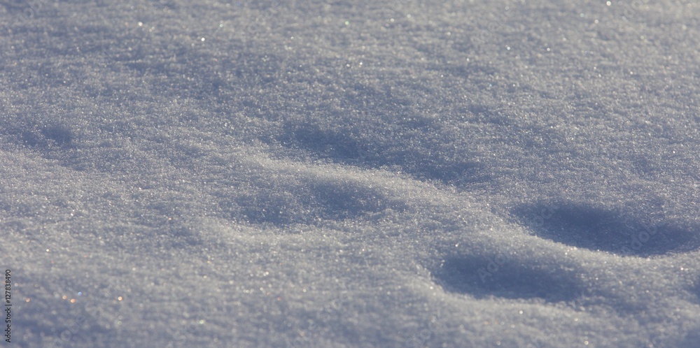 Beautiful isoalted photo of a sunny white snow with the footprints Beautiful isoalted photo of a sunny white snow with the footprints