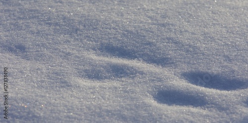 Beautiful isoalted photo of a sunny white snow with the footprints