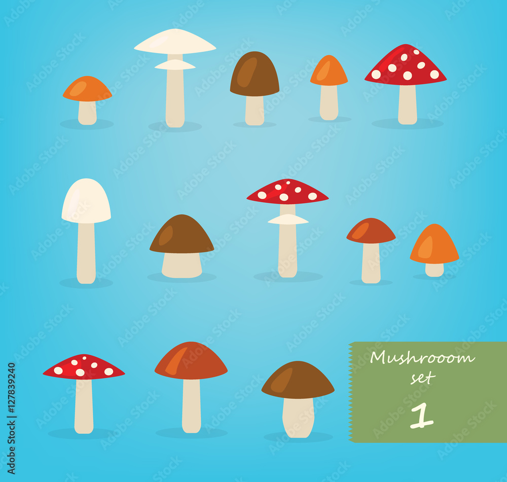 Mushroom illustration set
