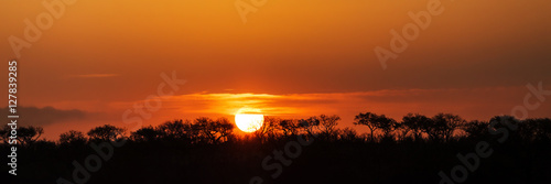 Fototapeta Panorama południowoafrykańskiego słońca