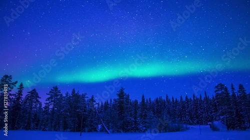 Lapland. Night. Winter forest. Starry sky and Northern Lights. Time lapse