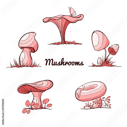 Vector mushroom set.