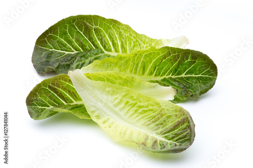 Fresh cos lettuce on white background.