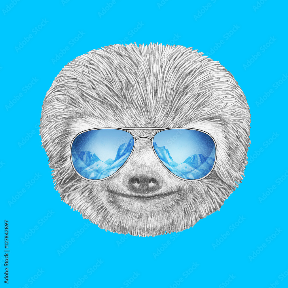 Sloth Aviators