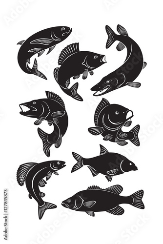  set fish