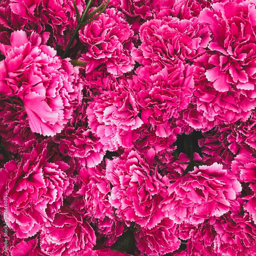 pink flowers background pink flowers background