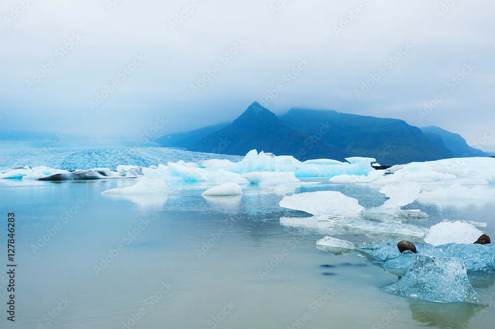 Icebergs in the glacial lake, south Iceland
