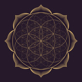 vector mandala sacred geometry illustration.