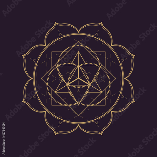 vector mandala sacred geometry illustration.