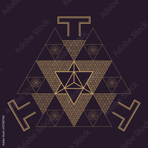 vector mandala sacred geometry illustration.