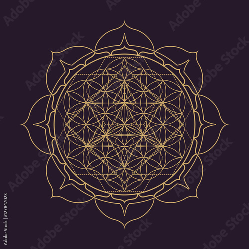 vector mandala sacred geometry illustration.