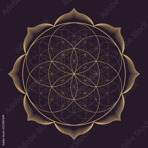 vector mandala sacred geometry illustration. photo