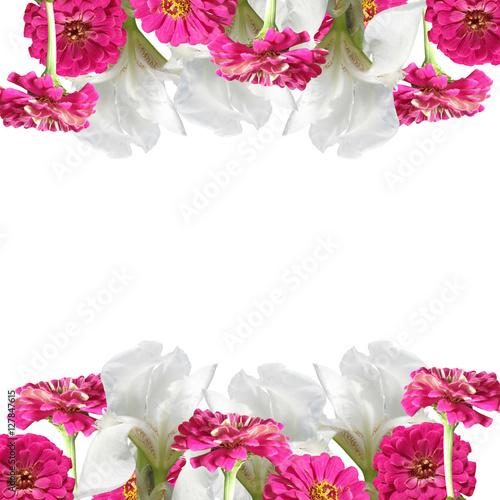 Fototapeta Naklejka Na Ścianę i Meble -  Beautiful floral background of white irises and pink tsiny 