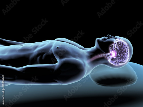 X-ray of Sleeping Man with Brain