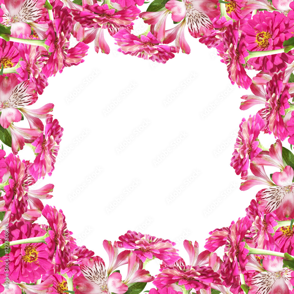 Beautiful floral background of pink alstroemeria and tsiny 