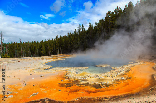 Tela Forests and geysers in Yellowstone.