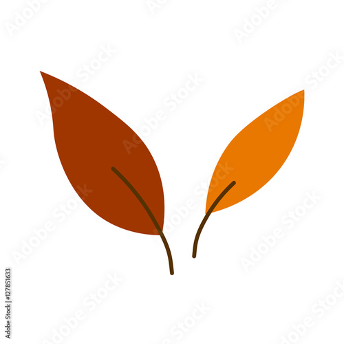 Autumn leafes icon vector